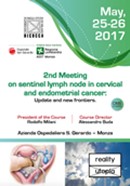 2nd Meeting on sentinel lymph node in cervical and endometrial cancer