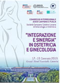 "Integrazione e sinergia" in Ostetricia e Ginecologia