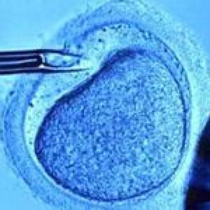 Eterologa. Fondazione PMA: “A rischio dal 29 aprile in Italia, anche per i trattamenti in corso”. Lanciato appello al Ministero della Salute