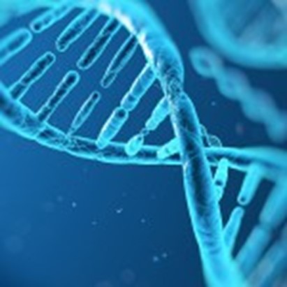 L’appello degli scienziati su Nature: “Stop alla sperimentazione clinica dell’editing genetico su gameti ed embrioni umani”