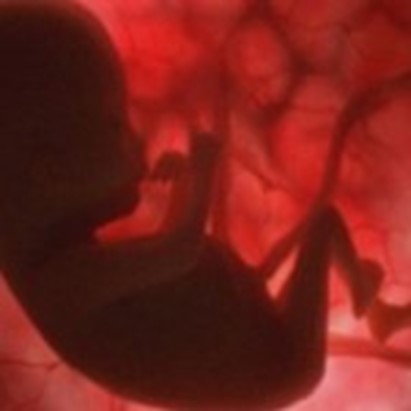 L'esposizione in utero del feto ad antipsicotici non altera il neurosviluppo