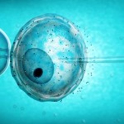 Tumore e fertilità. Maturazione in vitro prima della crioconservazione può essere un’alternativa alla stimolazione ormonale 