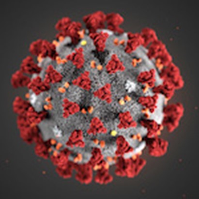 Coronavirus. In Cina il primo studio “di massa” su oltre 72mila casi: solo il 5% dei pazienti in situazioni “critiche”