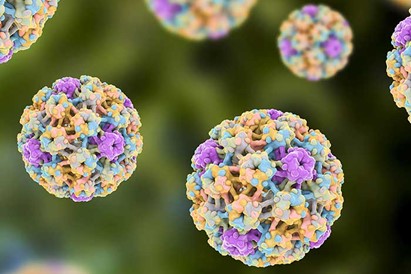 La prevenzione delle malattie HPV-correlate: è il momento di riprendere il discorso interrotto dal COVID