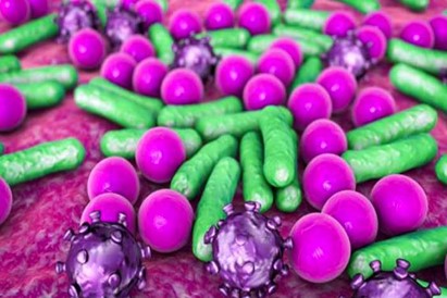 Il ruolo del microbiota vaginale nell’infezione da HPV