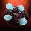 Car-T-. Identificate le fonti chiave che portano ad esaurimento delle cellule T