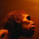 Covid. I geni di Neanderthal associati a forme gravi. In anteprima i risultati dello studio Origin del Mario Negri