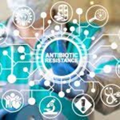 Antibiotico-resistenza e malnutrizione: studio evidenzia un collegamento