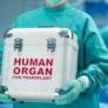 Donazioni e trapianti da record, nel 2023 oltre duemila prelievi di organi e quasi 4.500 interventi (+15%). I dati del Centro nazionale trapianti