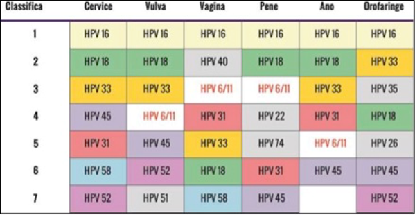 Vaccino papilloma virus quando si fa Hpv vaccino quando