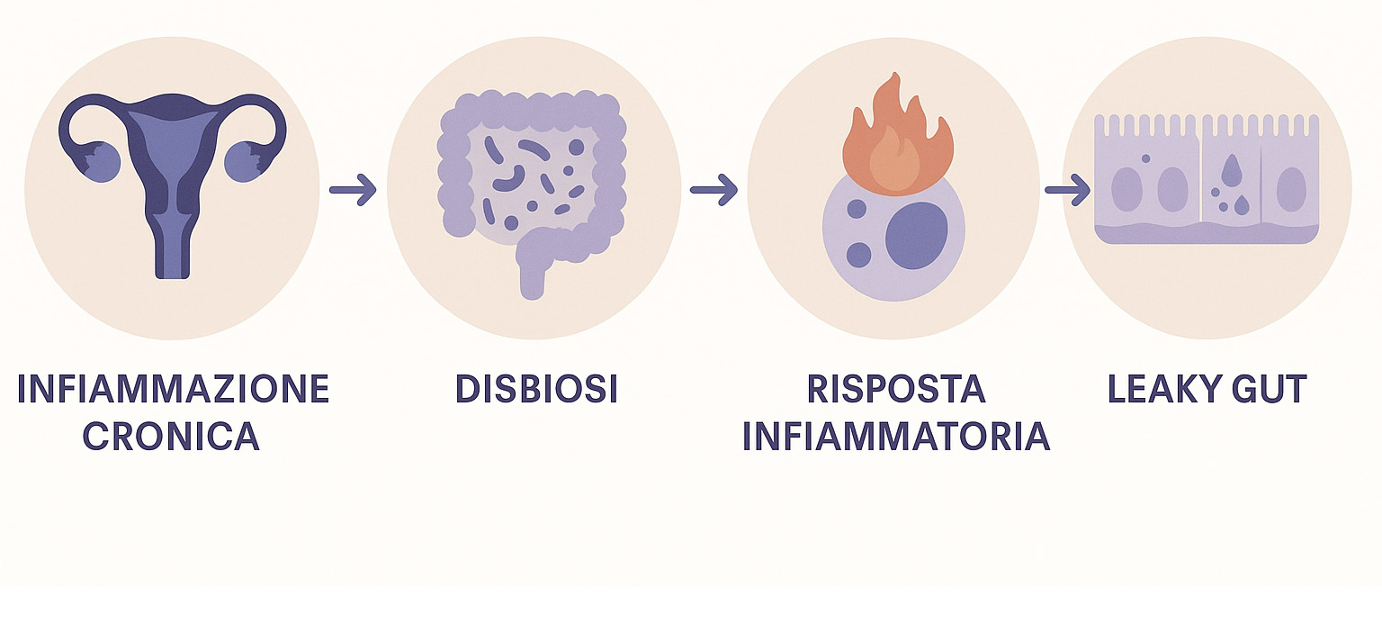 Endometriosi e Disbiosi Intestinale