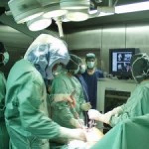 CREATOR: gd-jpeg v1.0 (using IJG JPEG v62), quality = 90