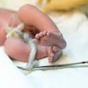 cordone-ombelicale-cnt