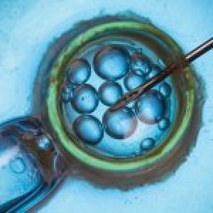 fecondazione-eterologa