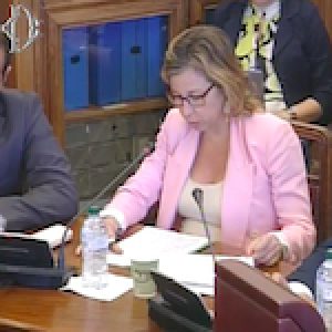 grillo-in-audizione-9