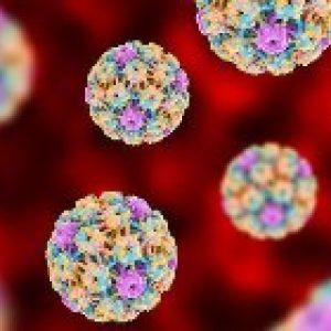 hpv