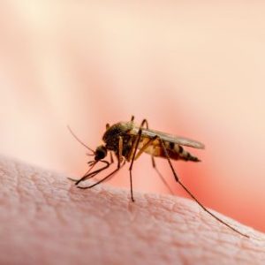 malattie-tropicali-neglette