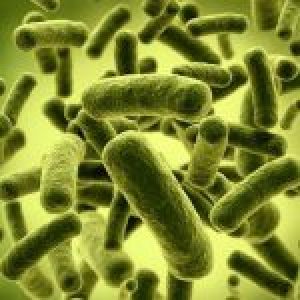microbiota