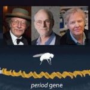 nobel-medicina-2017-300x300