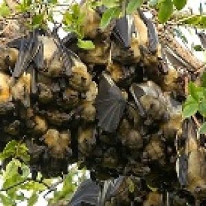 CREATOR: gd-jpeg v1.0 (using IJG JPEG v62), quality = 95