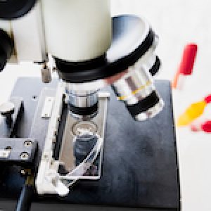 Microscope in the Laboratory, modern close-up shot