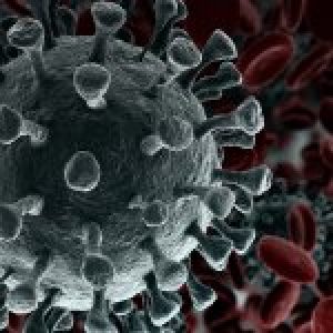 rapporto-efsa-batteri