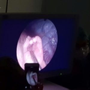 CREATOR: gd-jpeg v1.0 (using IJG JPEG v62), quality = 99