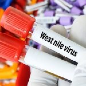 west-nile